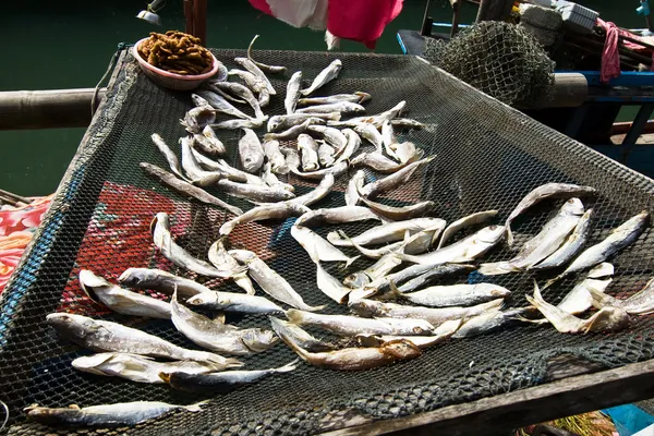 Fish drying on a net — Stock Photo, Image