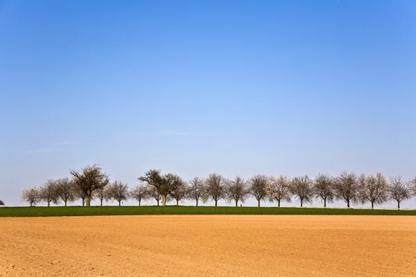 Färska plogad tunnland med raden av träd — Stockfoto