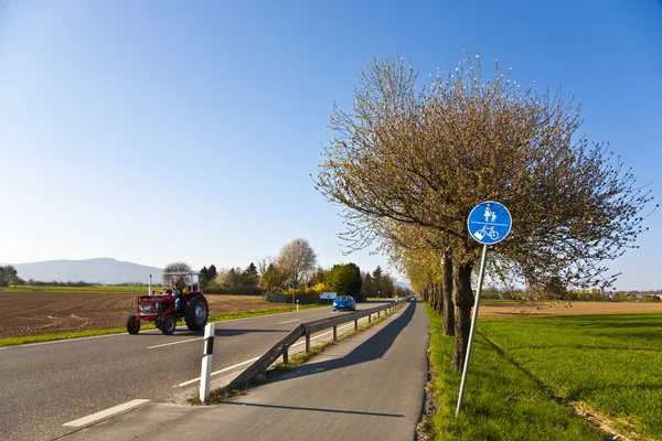 Albero fiorente in una strada con corsia — Foto Stock
