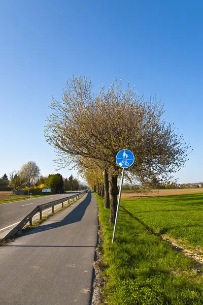 Blühender Baum an einer Straße mit Fahrspur — Stockfoto