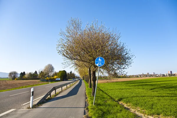 Blühender Baum an einer Straße mit Fahrspur — Stockfoto