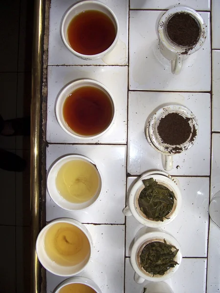 Different tea breeds for tasting — Stock Photo, Image