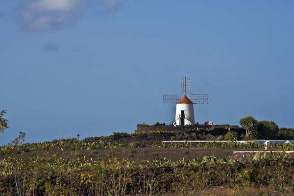Mulino a vento a Lanzarote — Foto Stock
