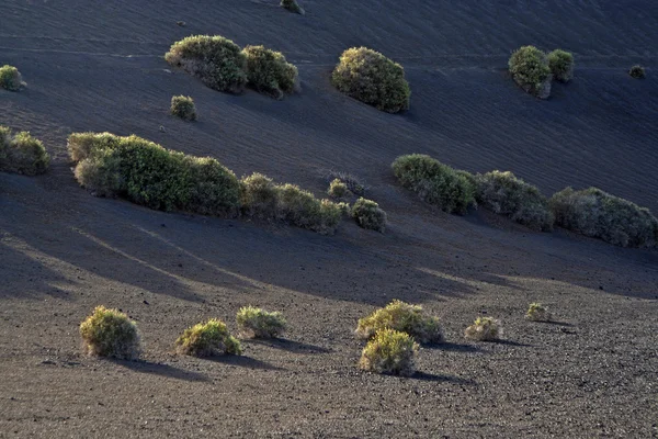 Vulkanische landschap van nationaal park timanfaya — Stockfoto