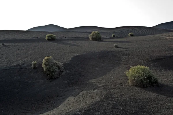 Paysage volcanique dans le parc national Timanfaya — Photo