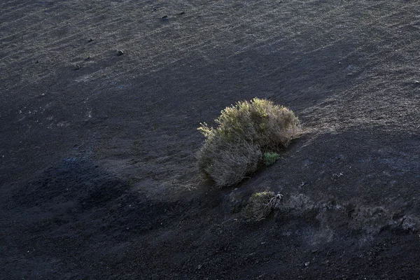 Vulkaniska landskapet i nationalparken timanfaya — Stockfoto