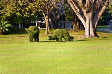 Bushes cut to animal figures in the park of Bang Pa-In Palace clipart