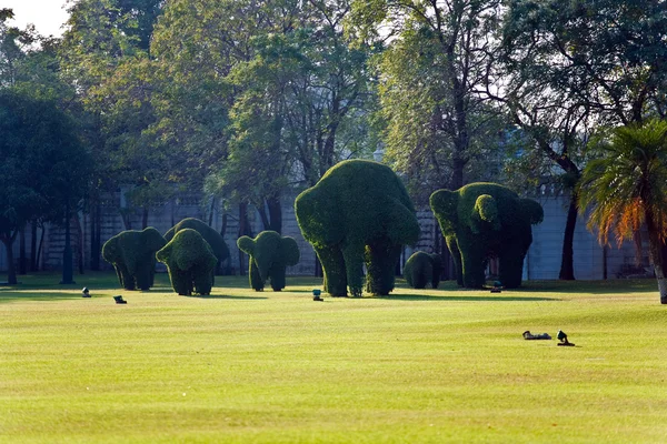 Θάμνους κομμένα σε ΖΩΑΚΙΑ στο πάρκο του Μπανγκ Πα-Ιν palace — Φωτογραφία Αρχείου