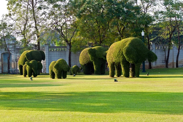 Gebüsch im Park des Palastes zu Tierfiguren geschnitten — Stockfoto