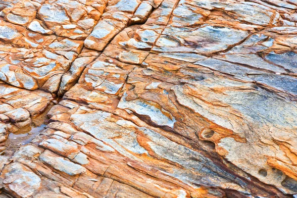 Beautiful pattern in Stone at the coast — Stock Photo, Image