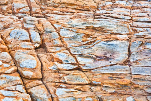 Güzel desen taş at coast — Stockfoto