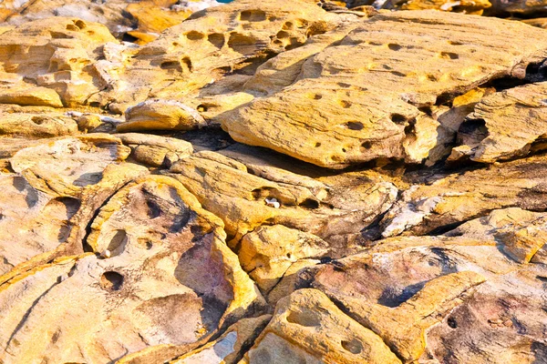 Belo padrão em pedra na costa — Fotografia de Stock
