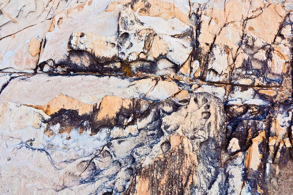 A sziklás tengerparton kő a gyönyörű mintázata — Stock Fotó