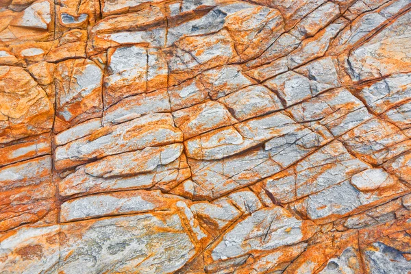 Bellissimo modello di pietra sulla spiaggia rocciosa — Foto Stock
