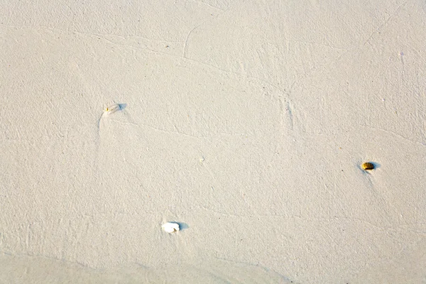 Конструкции, линии на пляже с обустройством лея — стоковое фото