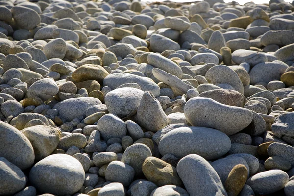 Stones at the beach in harmony — Stock Photo, Image