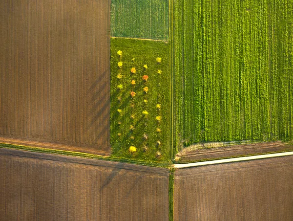 Αγροτικό τοπίο με χωράφια — Φωτογραφία Αρχείου