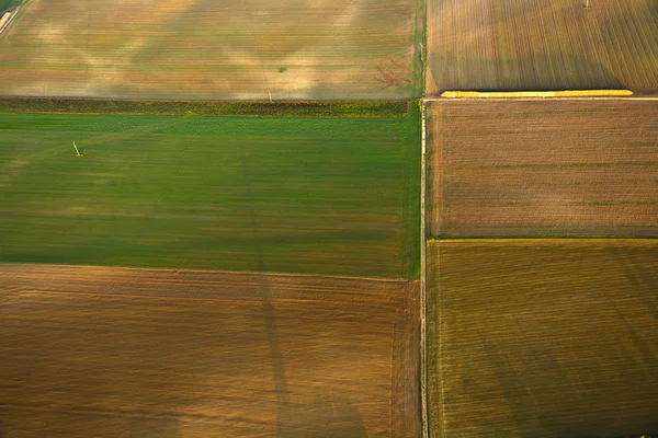 Landelijk landschap met velden — Stockfoto