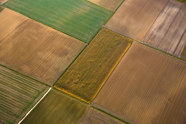 Сільський пейзаж з полями — стокове фото