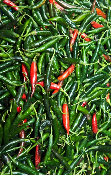 Frische Chilischote in verschiedenen Farben auf dem Kräutermarkt — Stockfoto