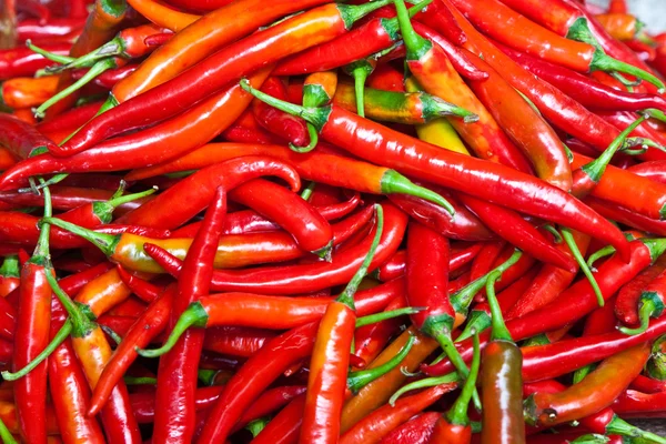 Čerstvé chilli v různých barvách na trhu byliny — Stock fotografie