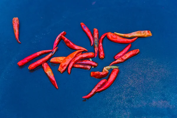 Świeże chili w różnych kolorach na rynku zioło — Zdjęcie stockowe