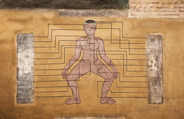 Gemälde im Tempel wat pho lehren Akupunktur und Fernmedizin — Stockfoto