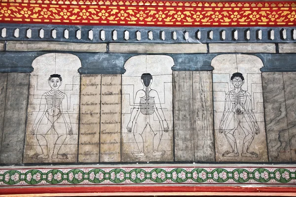 Живопись в храме Ват Пхо учит иглоукалыванию и фарестской медицине — стоковое фото