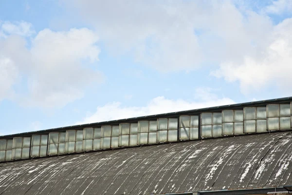 Ventanas de techo de la estación de tren de hierro clásico — Foto de Stock