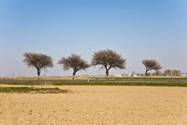 Freshly ploughed acre with row of trees — Stock Photo, Image
