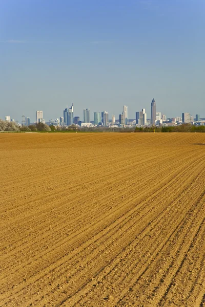 Pohled přes pole na panorama Frankfurtu — Stock fotografie