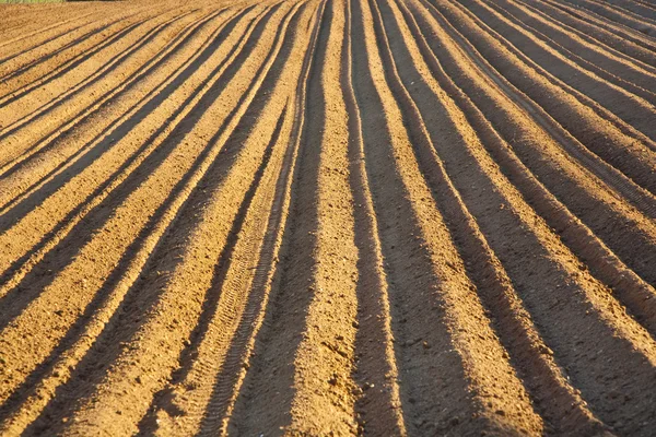 新しく耕した畑の背景 — ストック写真