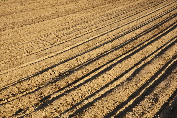 Bakgrund av nyligen plöjt fältet — Stockfoto