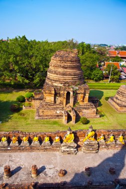 wat yai chai mongkol Tapınağı'nda Buda heykelleri