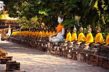 wat yai chai mongkol Tapınağı'nda Buda heykelleri