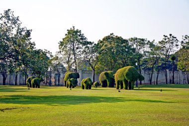 Bushes cut to animal figures in the park of Bang Pa-In clipart