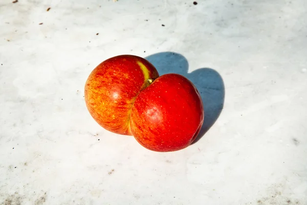 Apples with interresting deformations give fantasy a chance — Stock Photo, Image