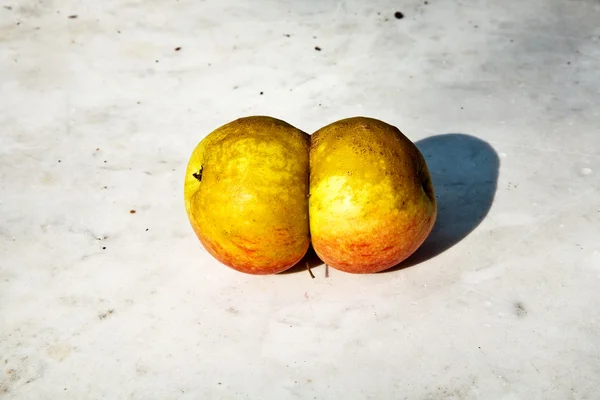 Las manzanas con deformaciones intermedias dan una oportunidad a la fantasía — Foto de Stock