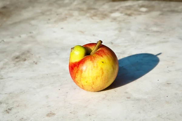 Las manzanas con deformaciones intermedias dan una oportunidad a la fantasía —  Fotos de Stock