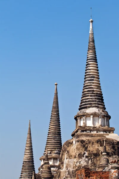 유명한 사원 지역 wat phra si 불탑이, ajutthay에 왕궁 — 스톡 사진
