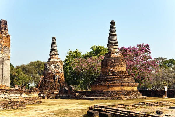 Berömda templet område wat phra si sanphet — Stockfoto
