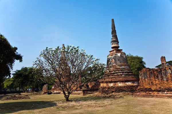 Ünlü tapınak alanı wat phra si sanphet — Stok fotoğraf