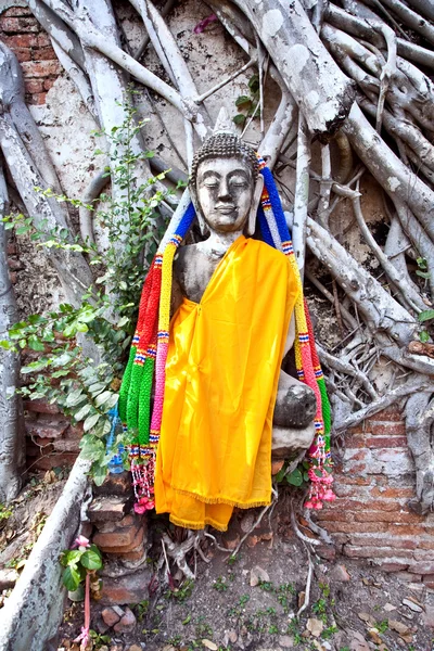 Boeddha vallende wortels in tempel gebied wat phra si sanphet — Stok fotoğraf