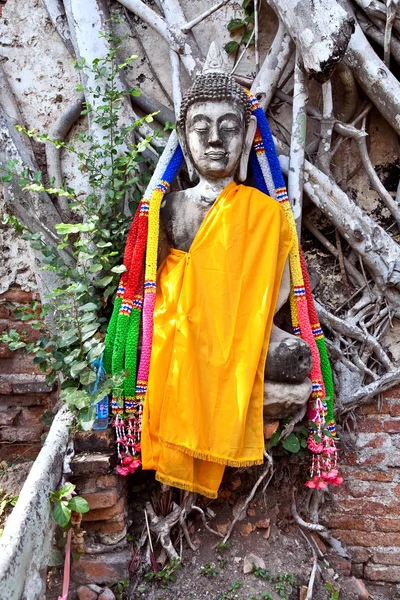 Buddha mit Wurzeln im Tempelbereich wat phra si sanphet — Stockfoto