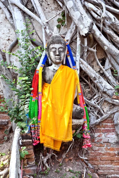 Будда, покрытый корнями в храмовой зоне Ват Пхра Си Сангет — стоковое фото