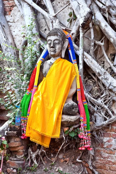 Будда, покрытый корнями в храмовой зоне Ват Пхра Си Сангет — стоковое фото