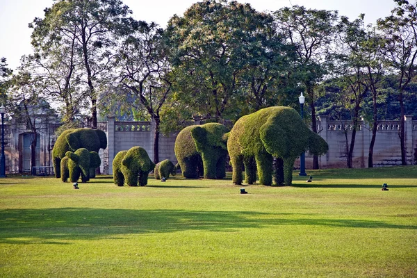 Arbustos cortados em figuras de animais no parque de Bang Pa-In — Fotografia de Stock