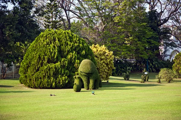 Bokrok vágott állat figurákat a parkban, a bang pa-in — Stock Fotó