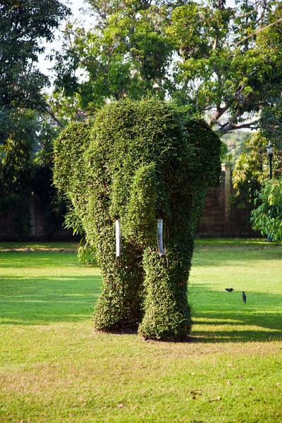 Arbustos cortados em figuras de animais no parque de Bang Pa-In — Fotografia de Stock