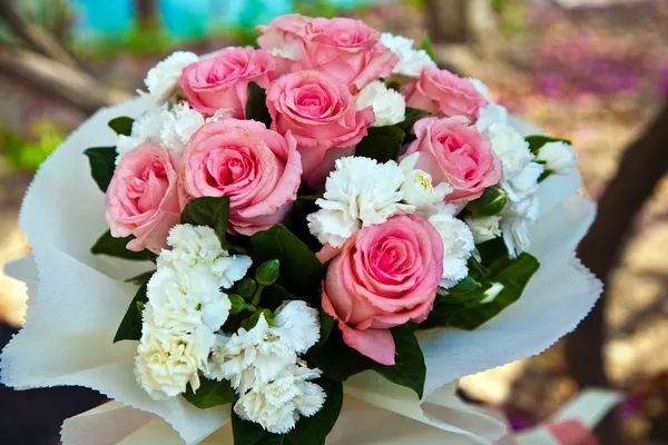 Witte en roze tulpen — Stockfoto